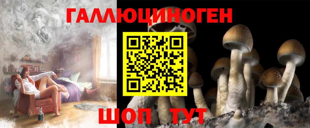 Галлюциногенные грибы Psilocybe Орёл